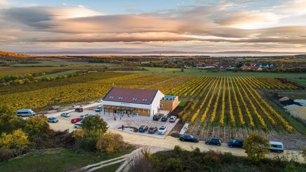 Dobosi Birtokkoezpont Szentantalfa Exterior foto