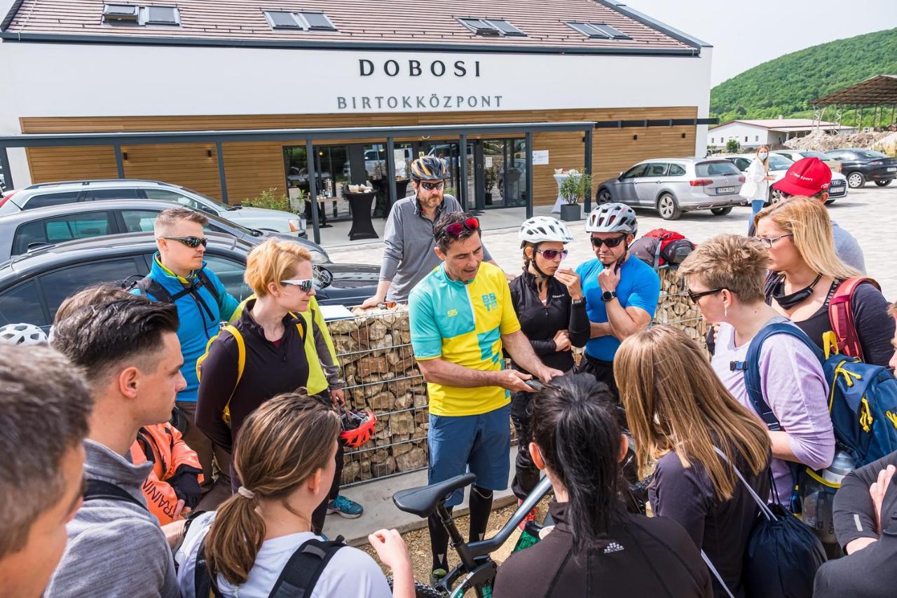 Dobosi Birtokkoezpont Szentantalfa Exterior foto